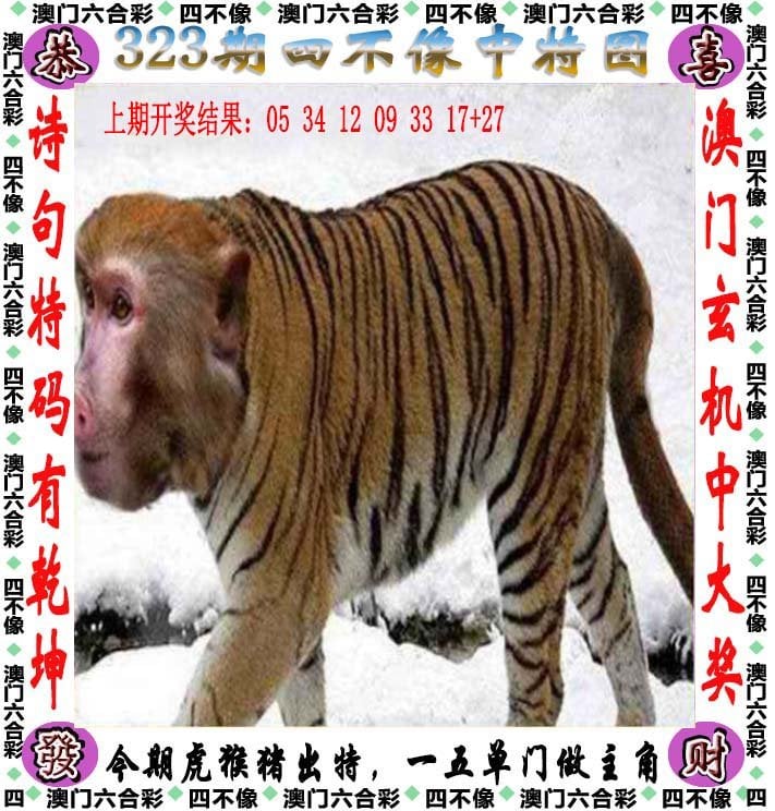 2024澳门免费一肖一码