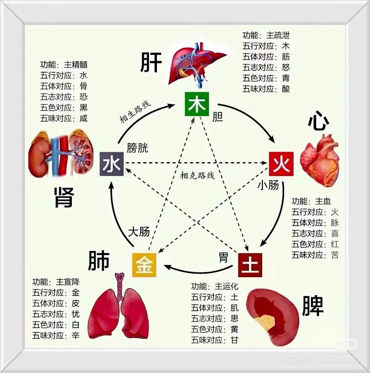 新闻中心 第51页