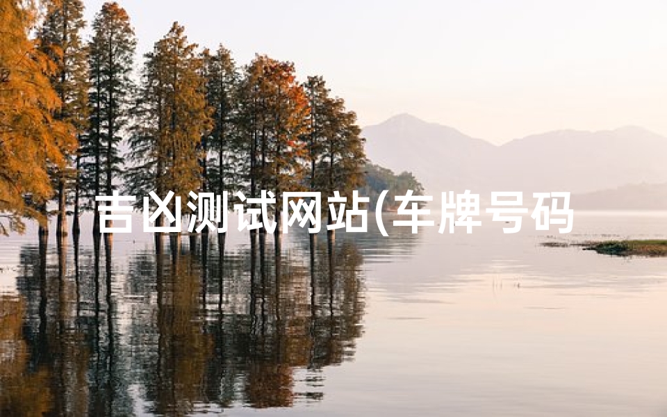测车牌号码打分