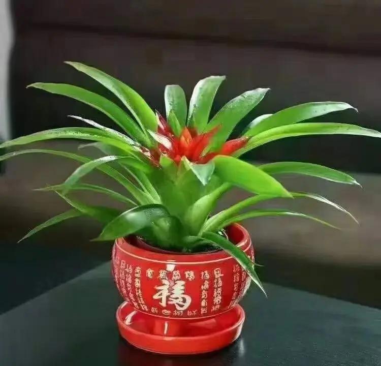 风水禁忌 第3页