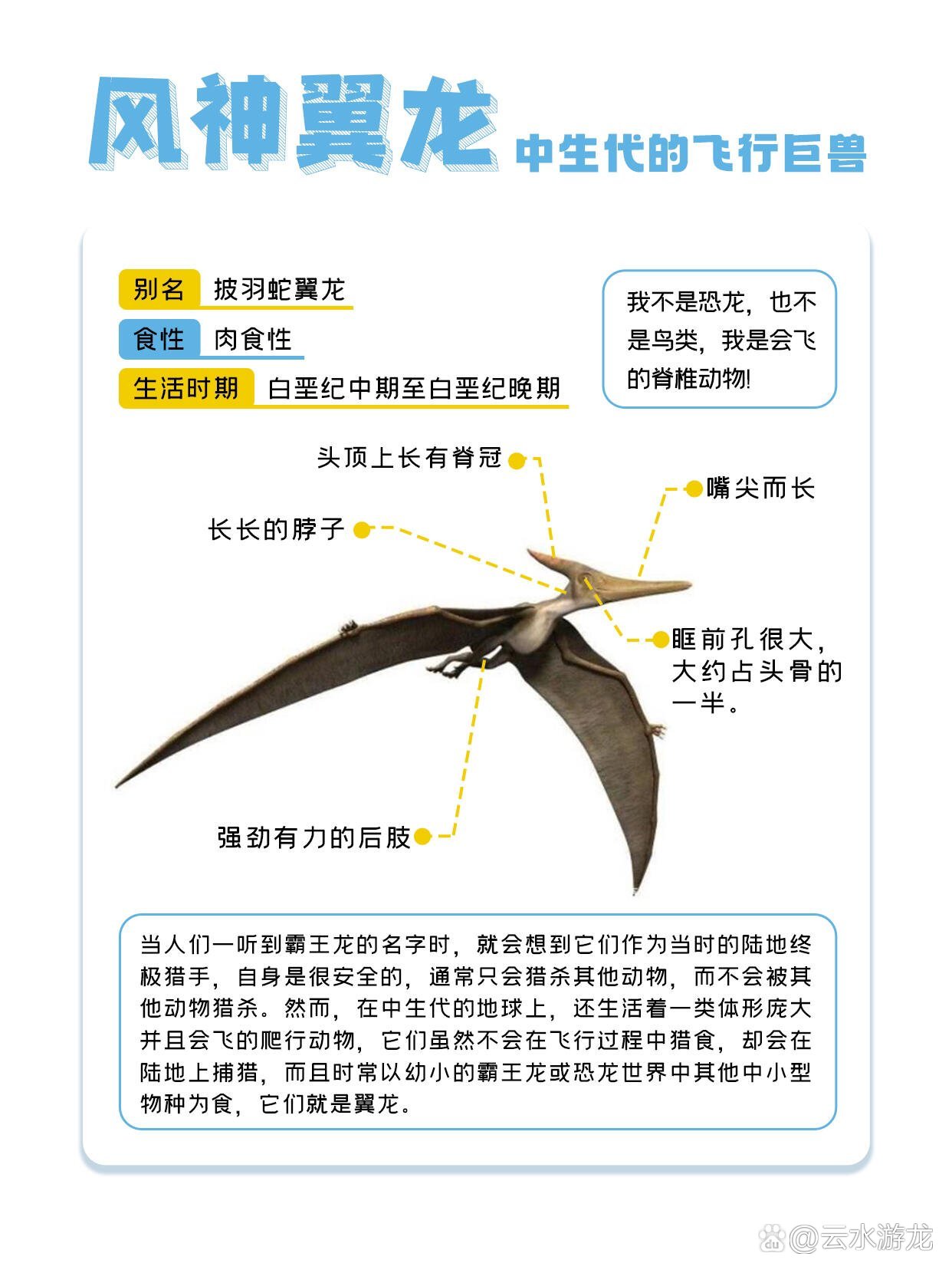 恐龙名字有哪些