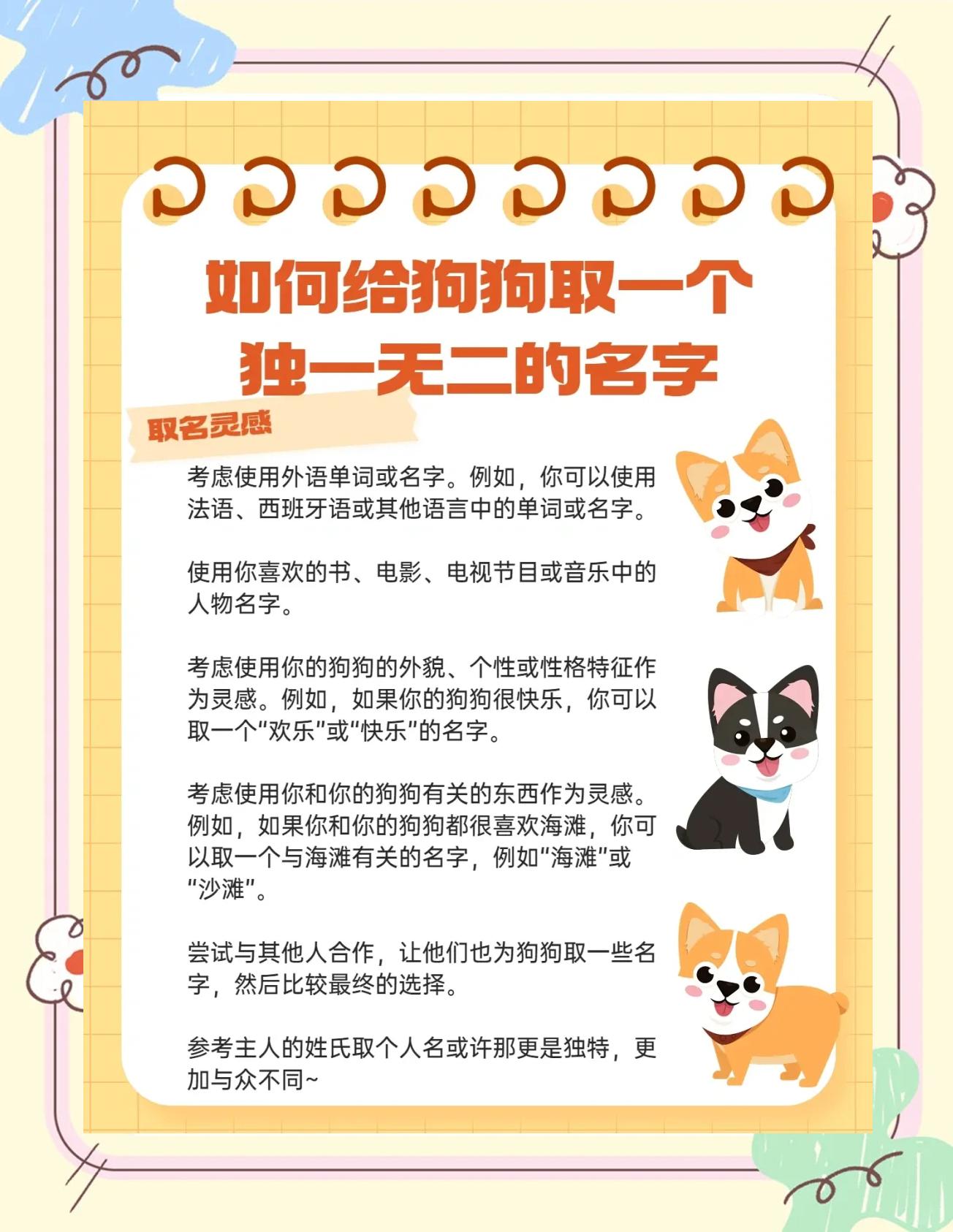 科普展现:狗起名字（狗起名字大全寓意发财）