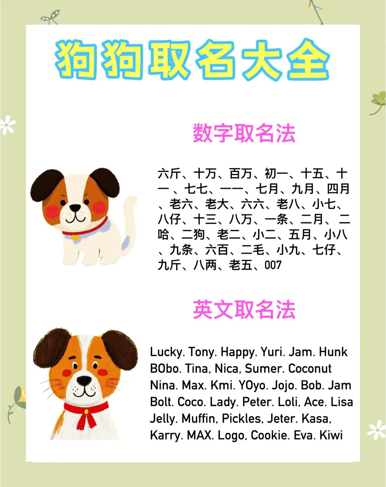 科普展现:好听狗名字（好听狗名字大全）