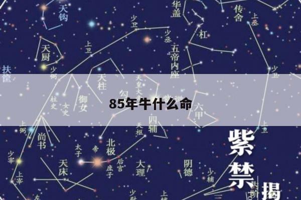 85年牛什么命