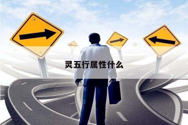 灵五行属性什么