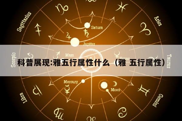科普展现:雅五行属性什么（雅 五行属性）