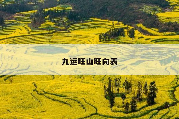 九运旺山旺向表