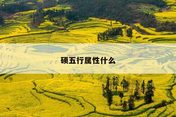 硕五行属性什么