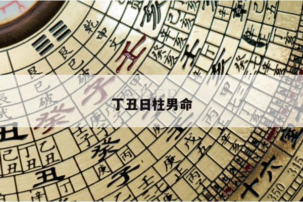 丁丑日柱男命