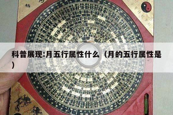 五行 第13页