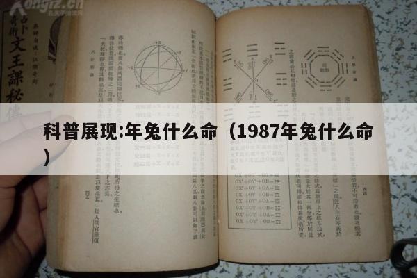 科普展现:年兔什么命（1987年兔什么命）