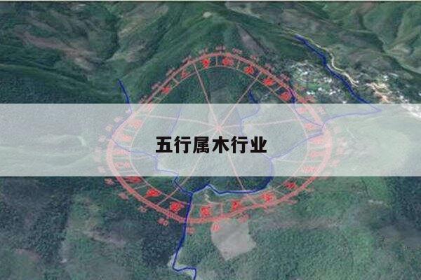 五行属木行业