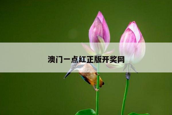 澳门一点红正版开奖网