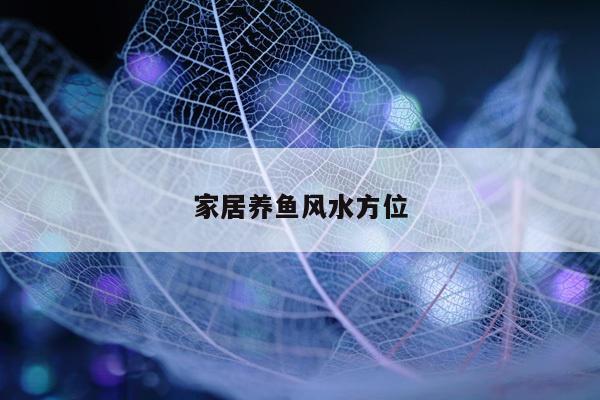 家居养鱼风水方位
