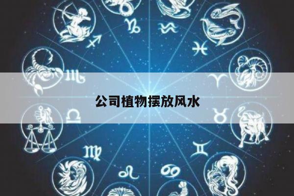 公司植物摆放风水