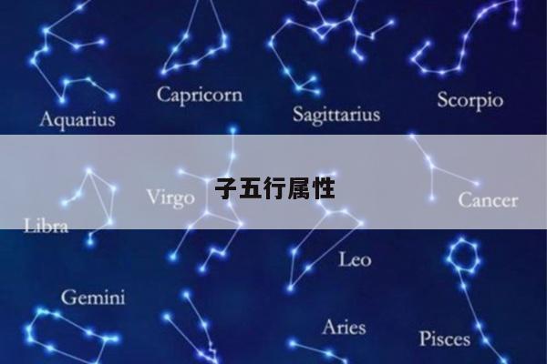 子五行属性