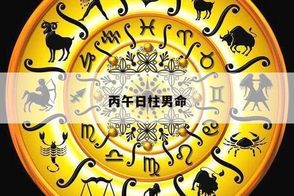 丙午日柱男命