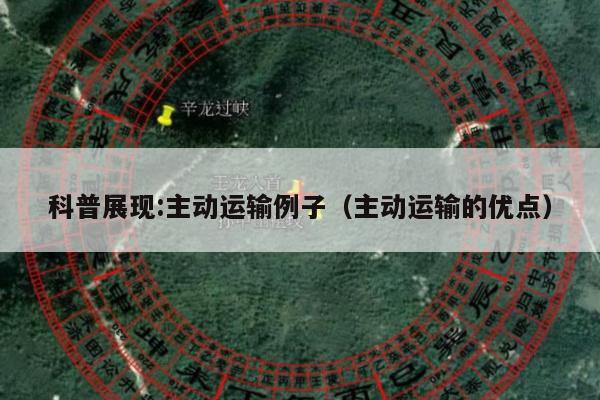 科普展现:主动运输例子（主动运输的优点）