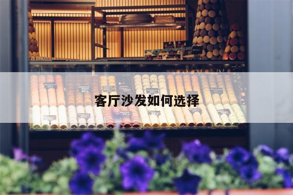 客厅沙发如何选择