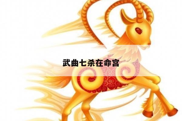 武曲七杀在命宫