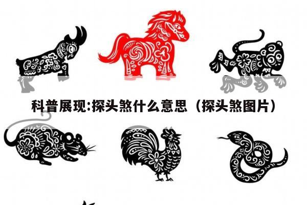 科普展现:探头煞什么意思（探头煞图片）