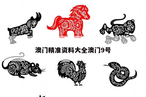 澳门精准资料大全澳门9号