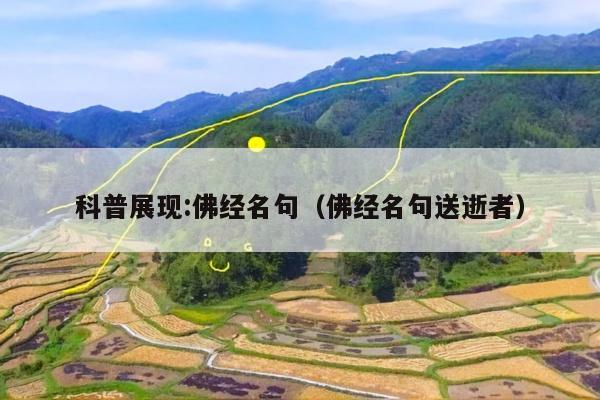 科普展现:佛经名句（佛经名句送逝者）