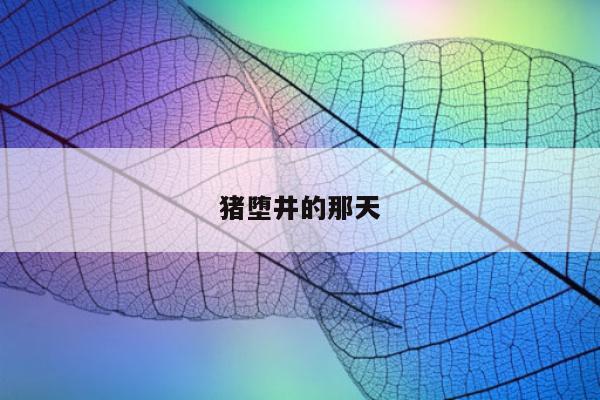 猪堕井的那天