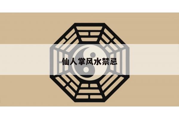 仙人掌风水禁忌