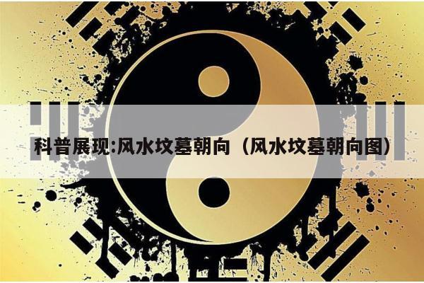 admin 第97页