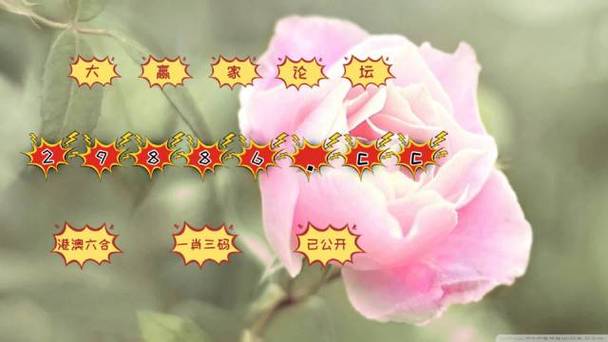 平特一肖的计算诀窍,新澳门平特一肖的计算诀窍