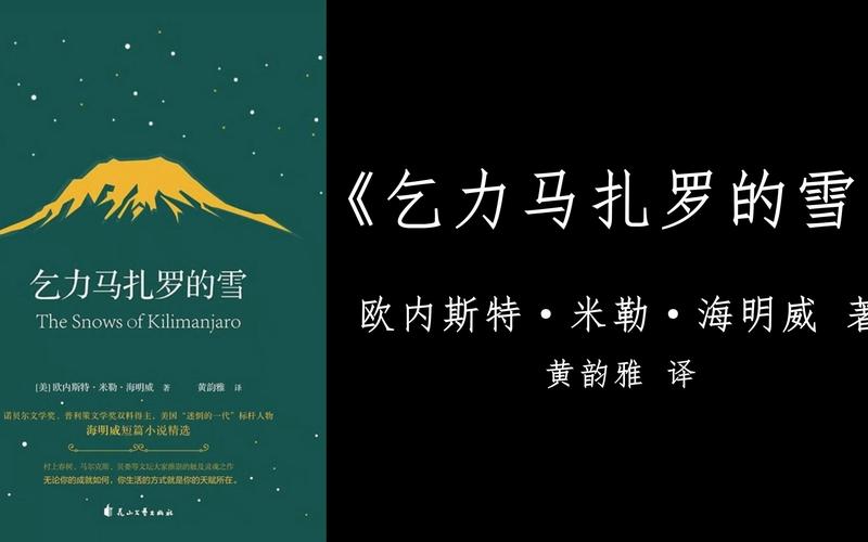 乞力马扎罗的雪,乞力马扎罗的雪讲的什么内容
