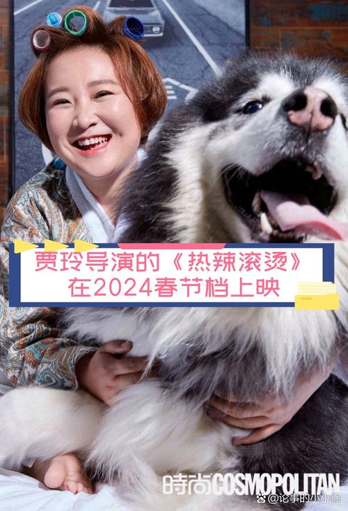 春节上映电影2024排行榜,春节上映电影2024排行榜前十