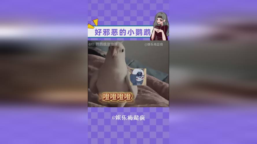 一个人在线视频,大地资源在线中文观看免费