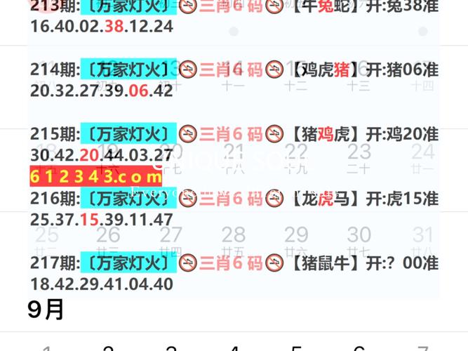 2020年今晚澳门特马号,2025年今晚澳门特马号开奖结果