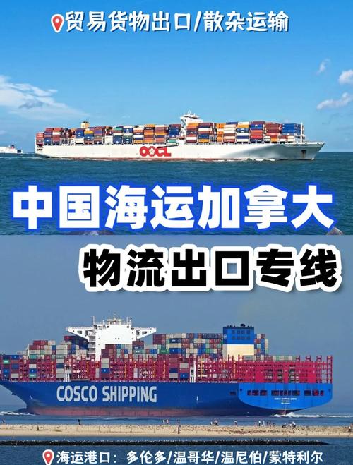 国内海运运输物流,国内海运运输物流公司排名