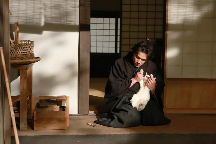 猫侍 剧场版,猫侍 剧场版 电影