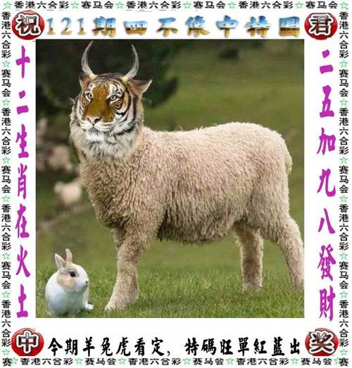 澳码资料,澳码资料库