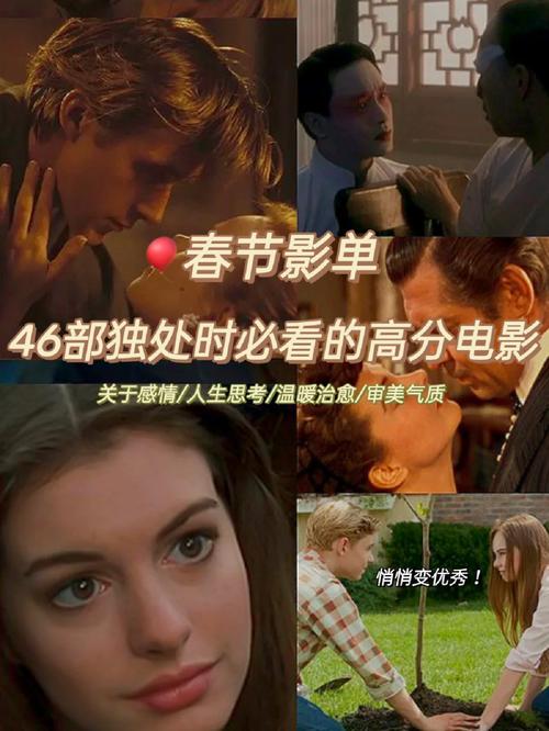 236宅电影网,宅电影免费