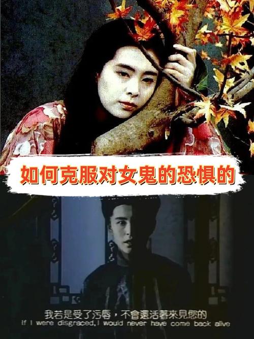 美国版咒怨讲的是什么故事,美国版咒怨恐怖吗
